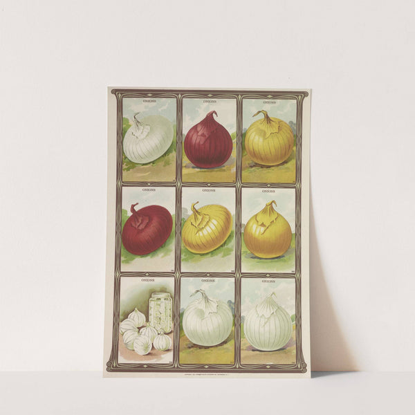 Onions (1921) by Genesee Valley Lithograph Co.