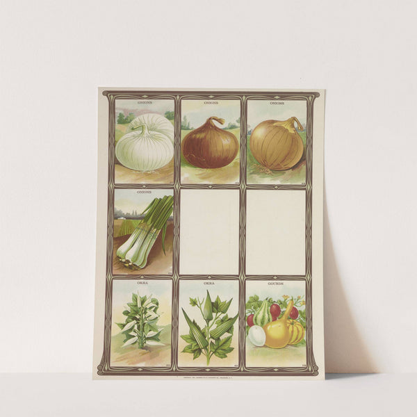 Onions, Okra, Gourds (1921) by Genesee Valley Lithograph Co.