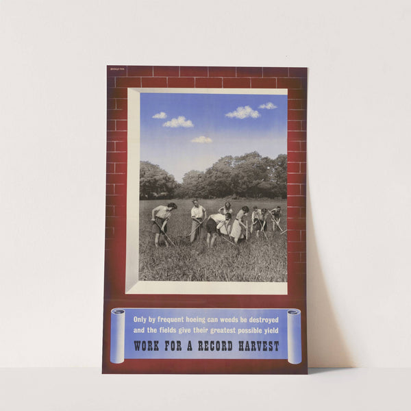 Only by Frequent Hoeing Can Weeds be Destroyed and the Fields Give Their Greatest Possible Yield - Work for a Record Harvest by Beverly Pick