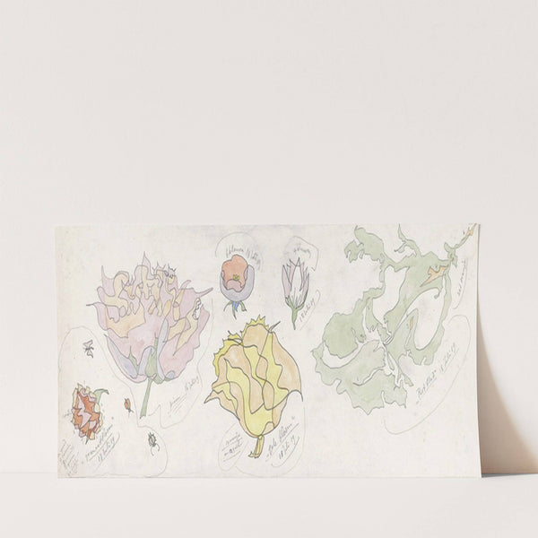 Ontwerp voor aardewerkdecoratie; granaatbloem, pioen, gele bloem en rotblad (1919-07-16) by Theo Colenbrander