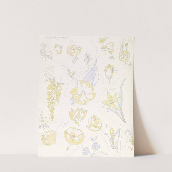 Ontwerpen voor aardewerkdecoratie; zes tulpen en andere bloemen by Theo Colenbrander