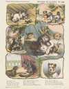 Op de heide 2 (1875-1919)