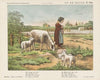 Op de weide (1875-1919)