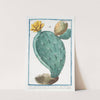 Opuntia, vulgo Herbariorum - Ficus Indica, folio spinoso, fructu majore - Fico d'India - Raquette, ou Cardasse. (Prickly Pear, Indian Fig) by Giorgio Bonelli