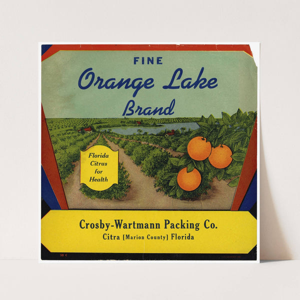 Orange Lake Brand Citrus Label (1930-1950)