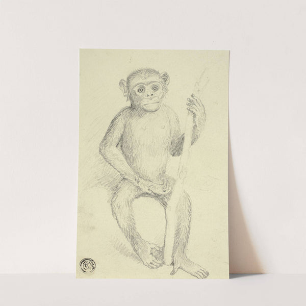 Orangutang by Sir Edwin Henry Landseer