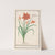 Oranje daglelie (Hemerocallis) Dag lelie. hemerocallis liriosphodelus phoeniceus. Leys hephemere (1596-1610) by Anselmus Boëtius de Boodt
