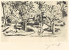 Orchard (Obstgarten)