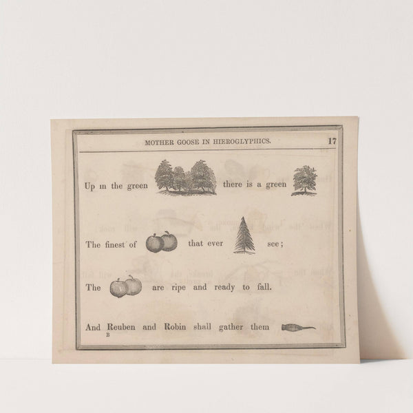 Orchard, Tree, Apples, Yew, Apples, Awl (1855) by Sherman & Co.