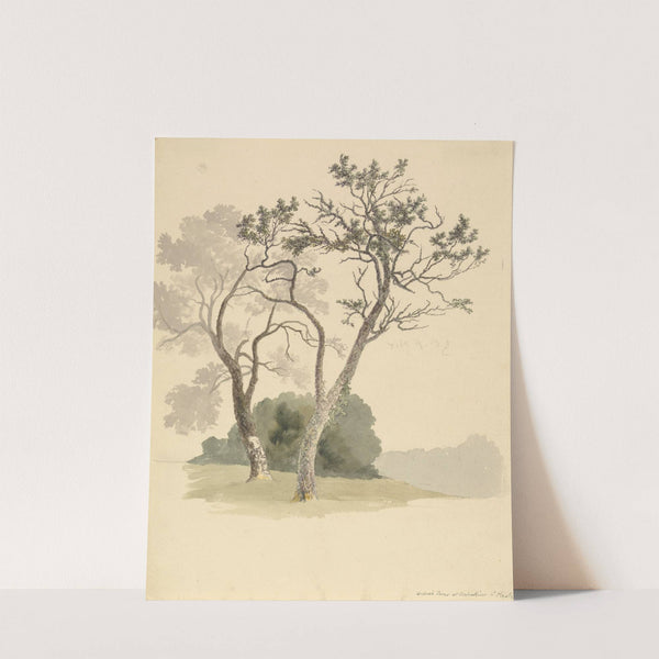 Orchard Trees at Under River near Knole by Robert Hills