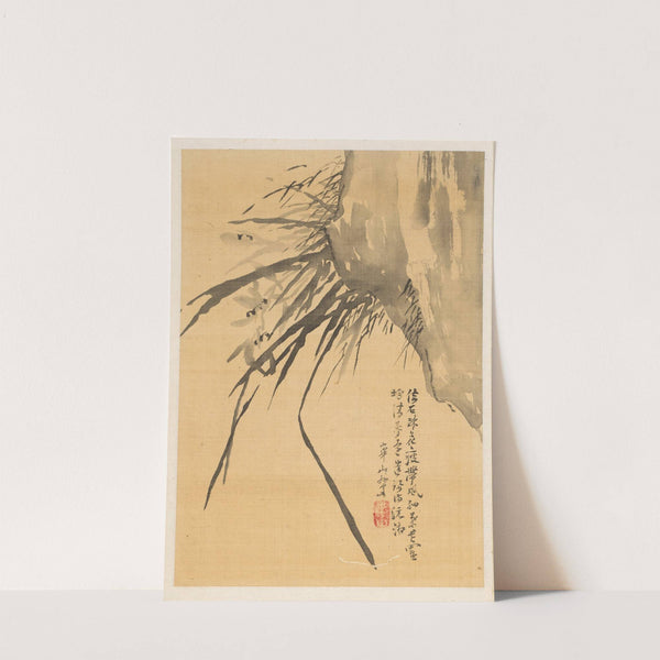 Orchid by Watanabe Kazan