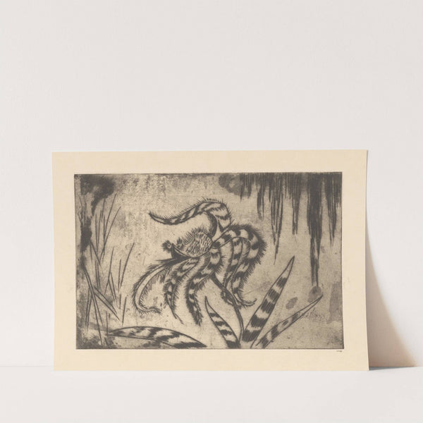 Orchidee by Janus de Winter