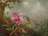 Orchids And Hummingbirds