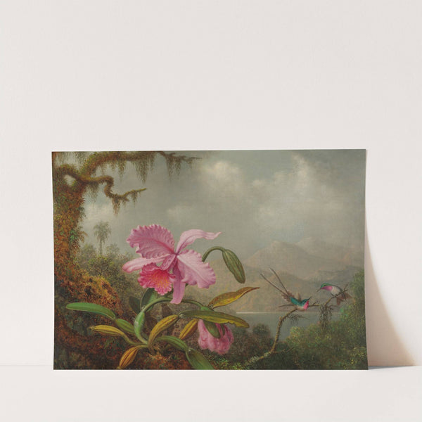 Orchids And Hummingbirds by Martin Johnson Heade