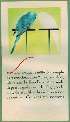 Orex (1910-1950)