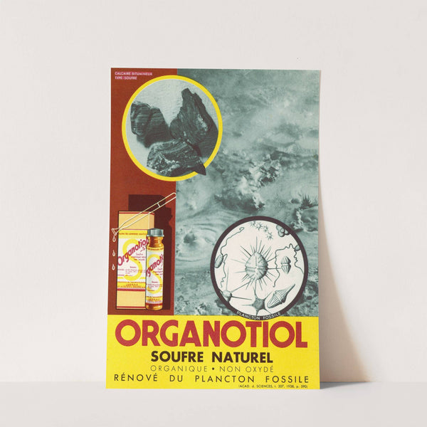 Organotiol (1910-1950) by Spécialités scientifiques Logeais