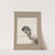 Original water-colour drawings of birds and eggs Pl.03 by John William Lewin