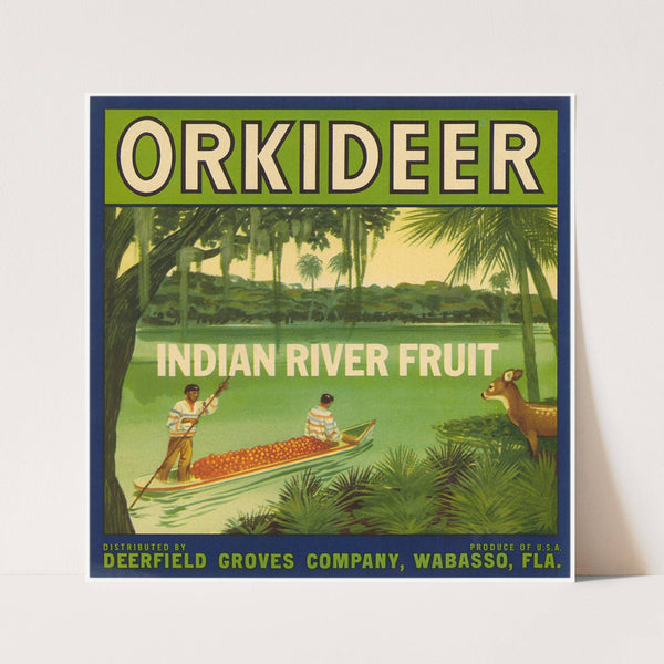 Orkideer Citrus Label (1940s)
