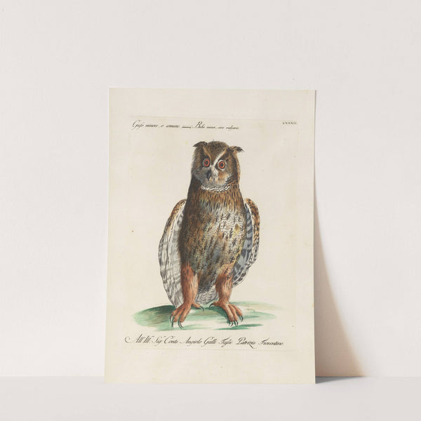 Ornithologia methodice digesta Pl.082 by Saverio Manetti