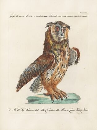 Ornithologia methodice digesta Pl.083