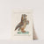 Ornithologia methodice digesta Pl.083 by Saverio Manetti