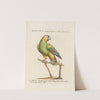 Ornithologia methodice digesta Pl.115 by Saverio Manetti