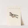 Ornithologia methodice digesta Pl.276 by Saverio Manetti