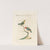 Ornithologia methodice digesta Pl.315 by Saverio Manetti