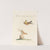 Ornithologia methodice digesta Pl.330 by Saverio Manetti