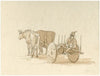 Ossenwagen met boer