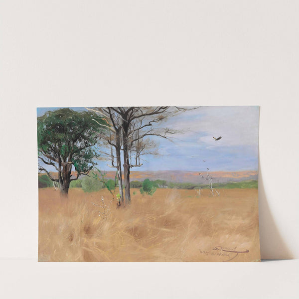 Ost Africa (1905) by Wilhelm Kuhnert