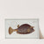 Ostracion Quadricornis, The Cuckold-fish. (1785-1797) by Marcus Elieser Bloch