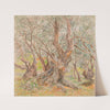 Oude olijfbomen by Anna De Weert