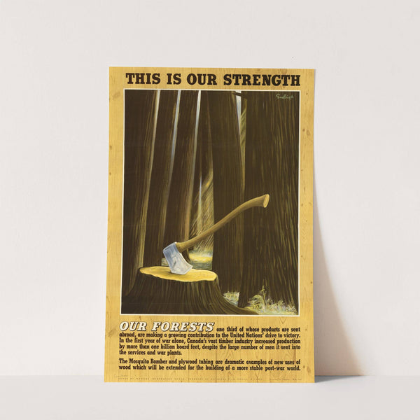 Our Forests - This is our Strength by Anonymous