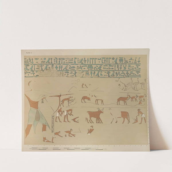 Outdoor sports and occupations; Sebeknekht bending his bow, two ploughmen ploughing with oxen, the sower, etc. by Joseph John Tylor