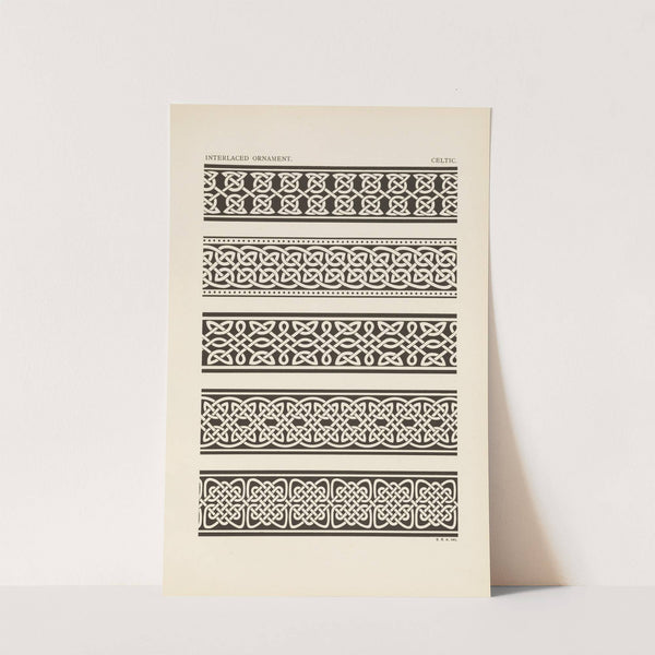 Outlines of ornament in the leading styles Pl.06 by George Ashdown Audsley