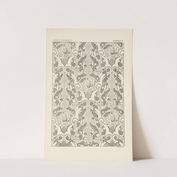 Outlines of ornament in the leading styles Pl.21 by George Ashdown Audsley