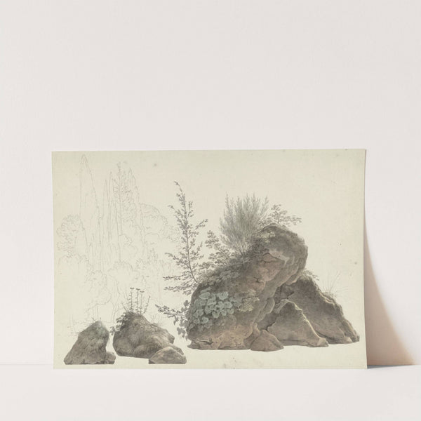 Overgrown Rocks (c. 1809 - c. 1812) by Josephus Augustus Knip