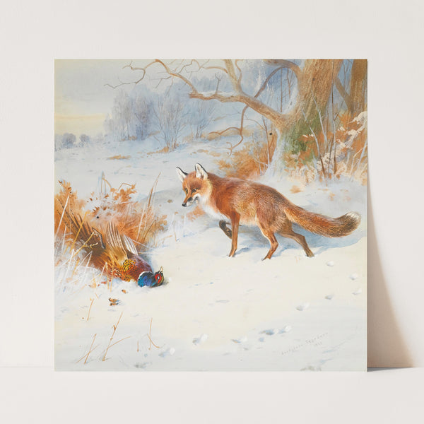 Overlooked By The Beaters (1913) by Archibald Thorburn