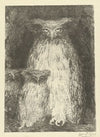 Owl with two owlets sitting on branch (1895)