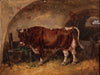 Ox in the barn