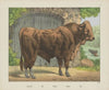 Ox (1829-1880)
