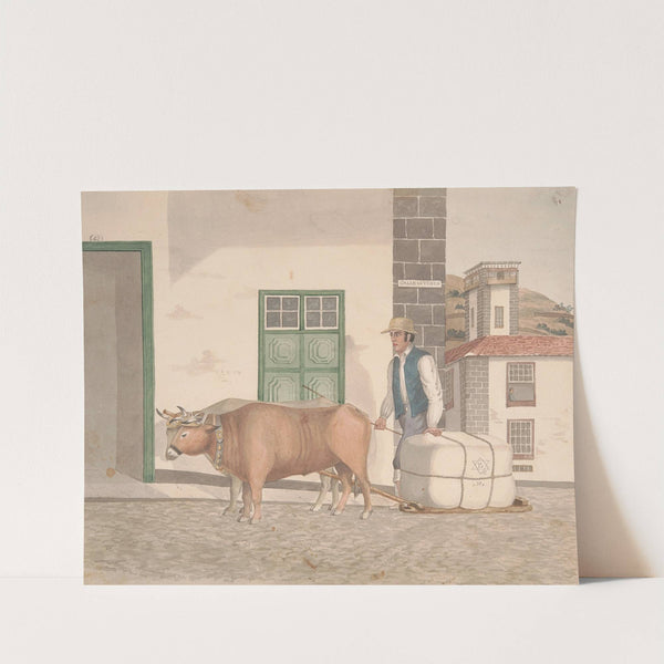 Ox-sledge for the conveyance of merchandise by Alfred Diston