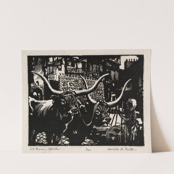 Ox Team, Oporto (before 1927) by Orville Houghton Peets