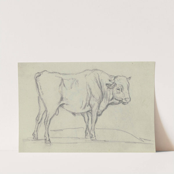 Ox to the right by Max Joseph Wagenbauer