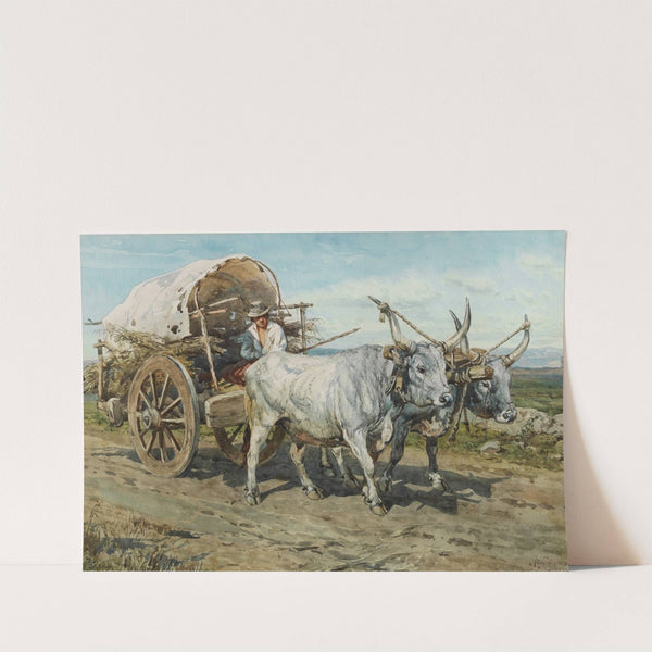 Oxen carting hay by Henry Enrico Coleman