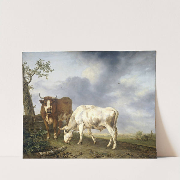 Oxen in the Meadow by Jan Kobell II