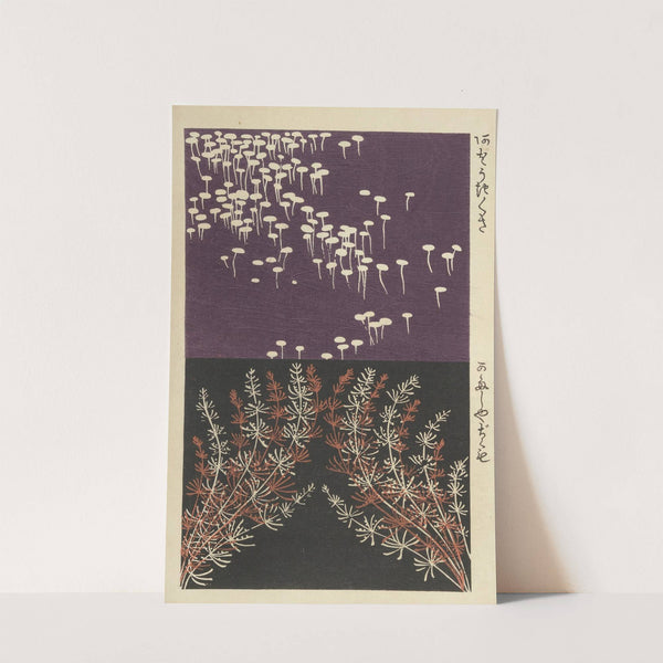 Ōyō Sketchbook (Ōyō manga) Pl.24 by Ogino Issui