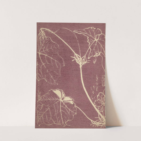 Ōyō Sketchbook (Ōyō manga) Pl.31 by Ogino Issui