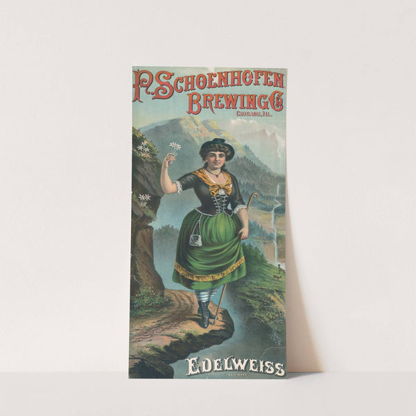 P. Schoenhofen Brewing Co., Chicago, Ill., edelweiss by Henry Jerome Schile
